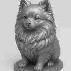 Detailed 3D STL Bust Model of a Pomeranian Dog for 3D Printing