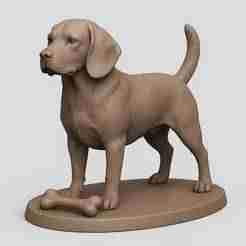 Detailed STL File for 3D Printing – Beagle Dog Model with Base and Bone