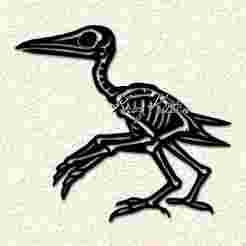 Dinosaur Skeleton Pterodactyl Wall Art Home Decor