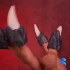 Dragon's Heir Claws