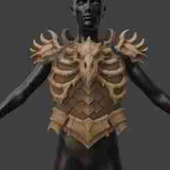 Dragonslayer Chest Armor and Pauldrons