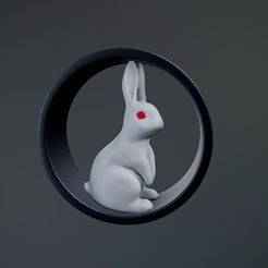 Ear Plugs - Rabbit 20mm-34mm Commercial Use License