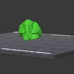 ELEPHANT RING