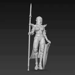 Elf warrior with spear and shield
