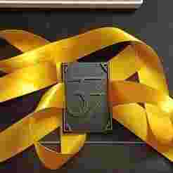Expedition 33 Badge