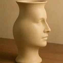 Face Illusion Vase
