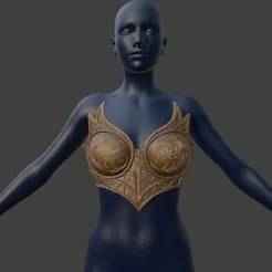 Fantasy Bra Armor