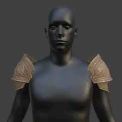 Fantasy Shoulder Pads
