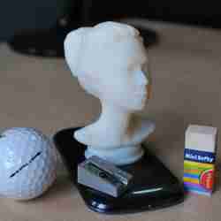female bust
