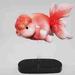 Fish Goden 1