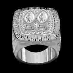 Forty Niners Super Bowl Championship Ring