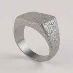 Fragmented Seal Ring