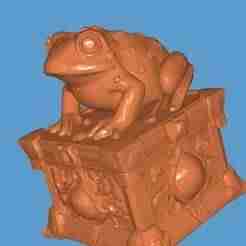 Frog on Juwel Box