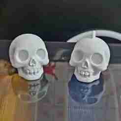 Funny Halloween skull