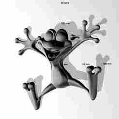G58 funny frog