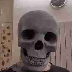 Ghost Rider skull mask