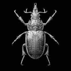 Golden Beetle Pendant Sculpture