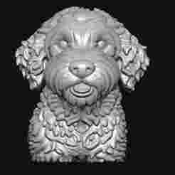 Golden doodles 3d file