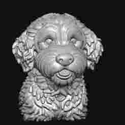 Golden doodles