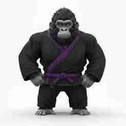 Gorilla kimono