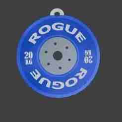 GYM- ROGUE Disc Key Ring