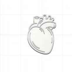 Heart Key Ring - Organs of the Human Body