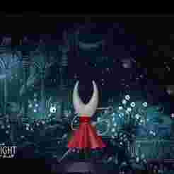 Hollow Knight - Hornet