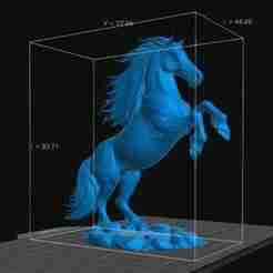 Horse on two legs