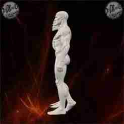 Human Skeleton and Muscle Anatomy – SoliDRawinGs SG977