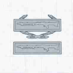Imperial Combat Badges