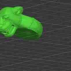 Jaguar Ring