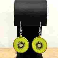 Kiwi Fruit Earrings