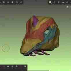 Lesser Dragon Mask
