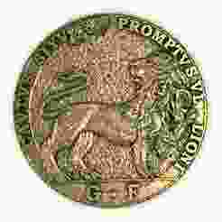 Lion Coin Pendant