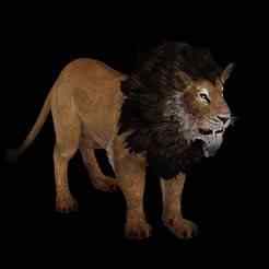 LION LION 3D RIGGED V RIGGED FBX 3MF STL OBJ 3D PRINTING CAT MUSCLE DESERT FELINE ANIMAL PREDATOR RAPTOR JUNGLE AFRICA