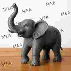 Lucky Elephant