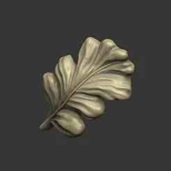 Oak Leaf high detail design nature organic wild