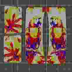Parrot Decorative Hair Clip Plates - Commerical Usage