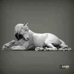 Percheron Horse Lying Down