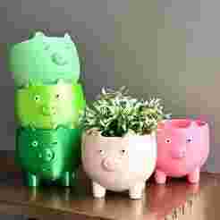 Pig vases