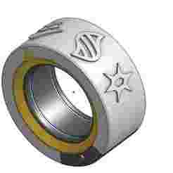 Pokemon Champions - Omni Ring (Prototype)