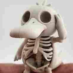Psyduck Skeleton