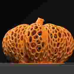Pumpkin HALLOWEEN