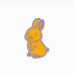 RABBIT MOLD PLUS RABBIT KEY CHAIN