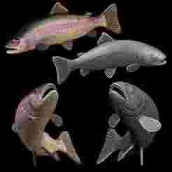 rainbow trout / Oncorhynchus mykiss open mouth in motion fish model for 3D printing