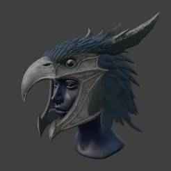 Raven Feathered Helmet
