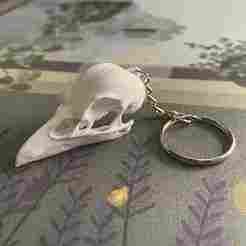 raven skull