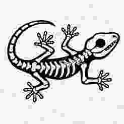 Reptile Skeleton Lizard Wall Art Home Decor
