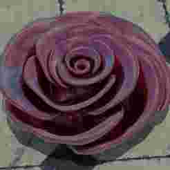 Rose with leaf