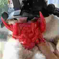 Samurai Helmet for Cat (Articulated Kabuto)